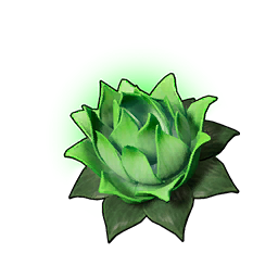 Life Lotus (S)