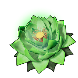 Life Lotus (L)