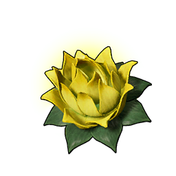 Stamina Lotus (S)