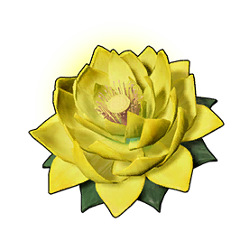 Stamina Lotus (L)