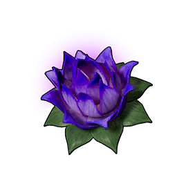 Carrying Lotus (S)
