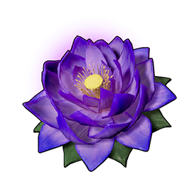 Carrying Lotus (L)