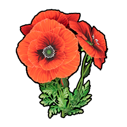 Beautiful Flower